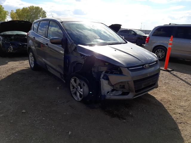 FORD ESCAPE SE 2014 with VIN 1FMCU0G9XEUC00837 - Photo from auction