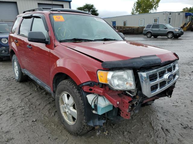 FORD ESCAPE XLT 2011 with VIN 1FMCU9DG8BKB18037 - Photo from auction
