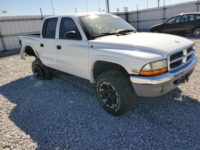 DODGE DAKOTA QUA 2004 with VIN 1D7HG48N24S509979 - Photo from auction