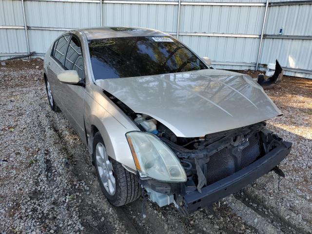 NISSAN MAXIMA SE 2005 with VIN 1N4BA41E95C856609 - Photo from auction