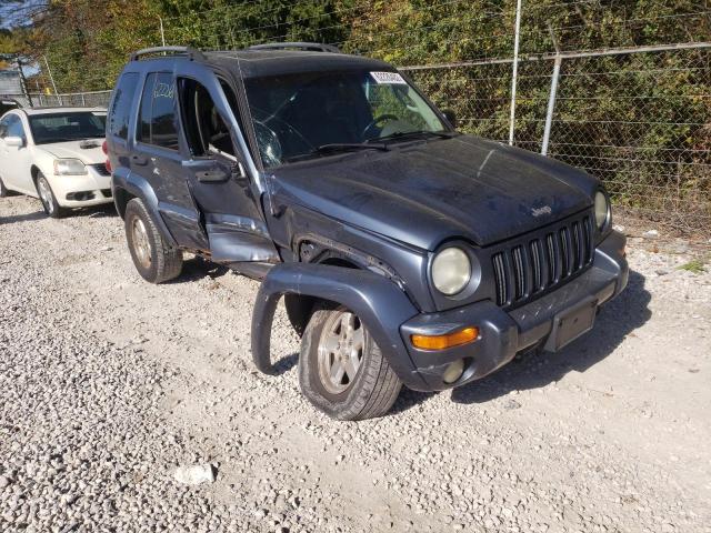 Photo 1 from auction – 2002 JEEP LIBERTY LI with VIN 1J4GL58KX2W284031