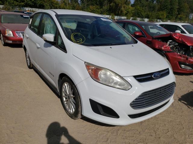 FORD C-MAX SE 2013 with VIN 1FADP5AU0DL533567 - Photo from auction