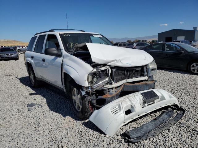CHEVROLET TRAILBLAZE 2005 with VIN 1GNDT13S352211367 - Photo from auction