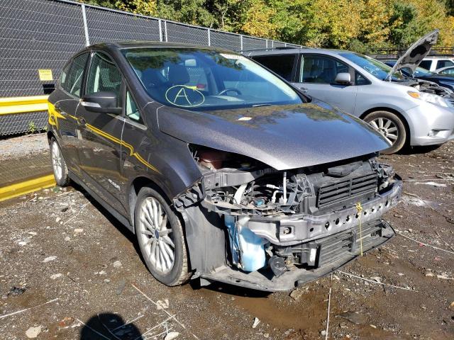 FORD C-MAX SEL 2013 with VIN 1FADP5BU8DL531676 - Photo from auction