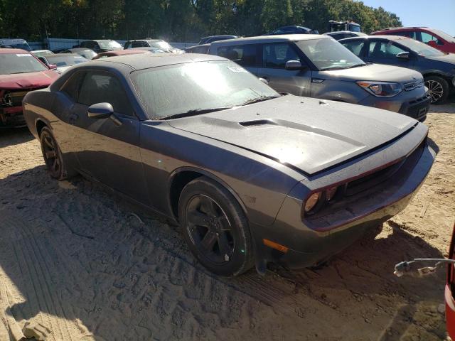 DODGE CHALLENGER 2013 with VIN 2C3CDYAG2DH601119 - Photo from auction