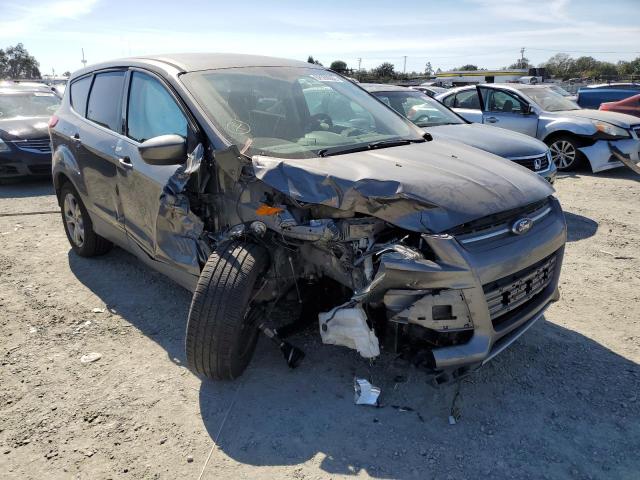FORD ESCAPE SE 2014 with VIN 1FMCU9G90EUB73216 - Photo from auction