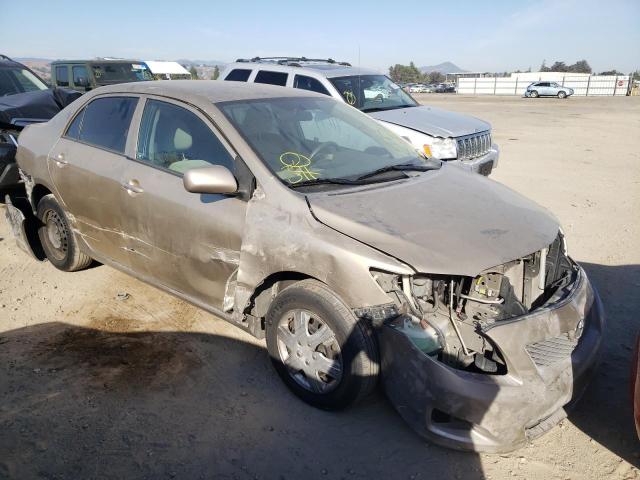 TOYOTA COROLLA BA 2010 with VIN 1NXBU4EE3AZ249651 - Photo from auction