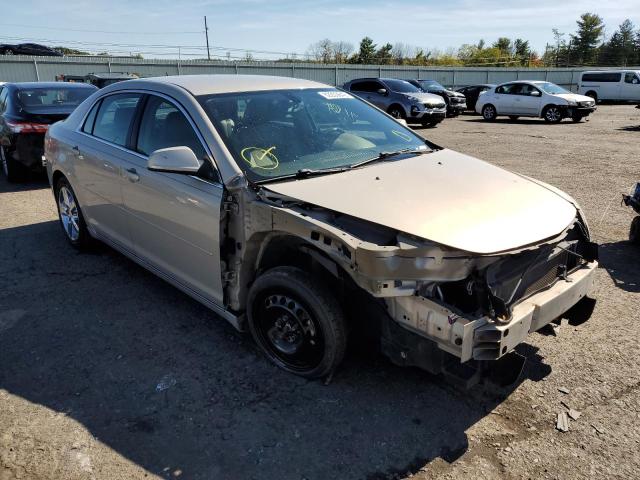CHEVROLET MALIBU 2LT 2010 with VIN 1G1ZD5EB9AF167340 - Photo from auction