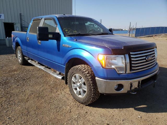 FORD F150 SUPER 2012 with VIN 1FTFW1EF4CFA75510 - Photo from auction