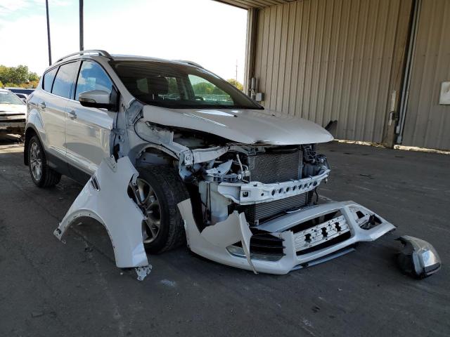 FORD ESCAPE TIT 2014 with VIN 1FMCU0JX2EUA43599 - Photo from auction