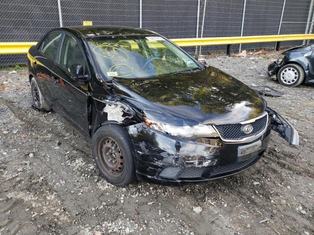 KIA FORTE EX 2010 with VIN KNAFU4A29A5175497 - Photo from auction