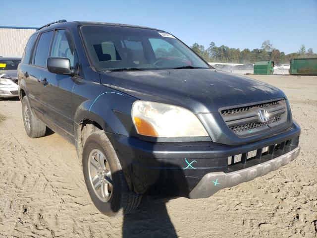 HONDA PILOT EX 2005 with VIN 5FNYF18455B064686 - Photo from auction