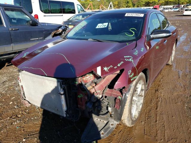 Photo 2 from auction – 2010 NISSAN MAXIMA S with VIN 1N4AA5AP3AC815955