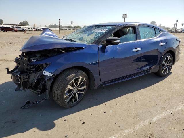 NISSAN MAXIMA SV 2022 with VIN 1N4AA6CV9NC503291 - Photo from auction