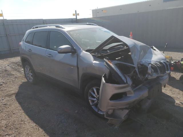 JEEP CHEROKEE L 2018 with VIN 1C4PJMDB7JD611099 - Photo from auction