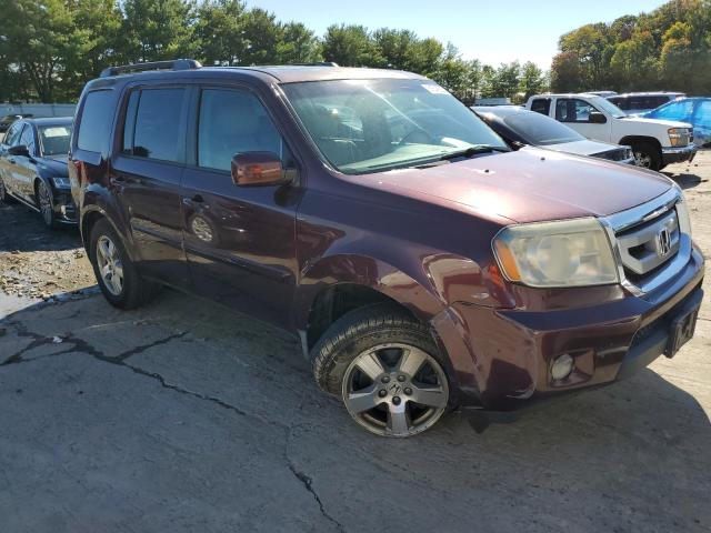 HONDA PILOT EXL 2010 with VIN 5FNYF4H55AB022863 - Photo from auction