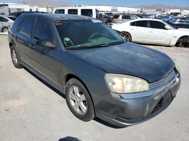 CHEVROLET MALIBU MAX 2005 with VIN 1G1ZT62885F281515 - Photo from auction