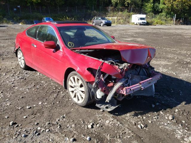 HONDA ACCORD EXL 2010 with VIN 1HGCS2B80AA008196 - Photo from auction