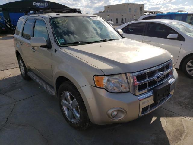 FORD ESCAPE LIM 2010 with VIN 1FMCU0EG1AKB93820 - Photo from auction