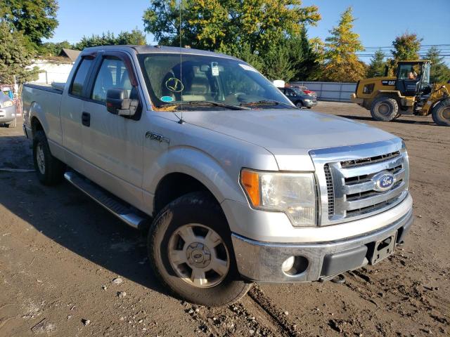 FORD F150 SUPER 2010 with VIN 1FTEX1E87AFA07127 - Photo from auction