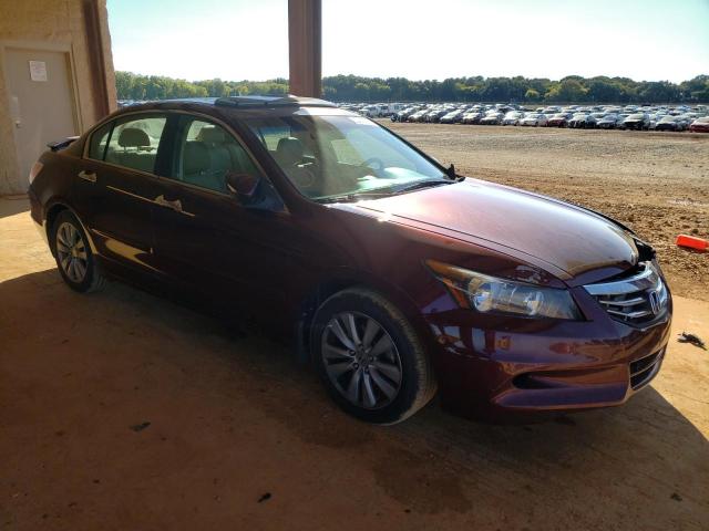 HONDA ACCORD EXL 2011 with VIN 1HGCP3F80BA010260 - Photo from auction