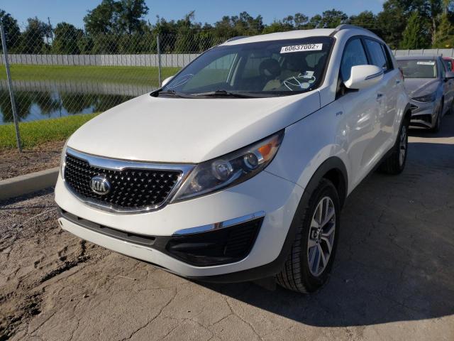 Photo 2 from auction – 2015 KIA SPORTAGE with VIN KNDPBCAC9F7766280