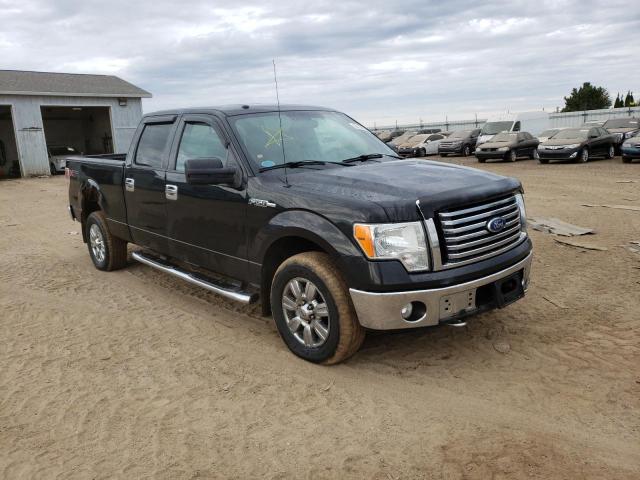 FORD F150 SUPER 2010 with VIN 1FTFW1EVXAFB56774 - Photo from auction