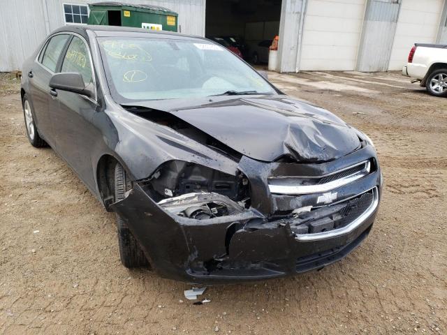 CHEVROLET MALIBU LS 2010 with VIN 1G1ZA5EB7AF280888 - Photo from auction