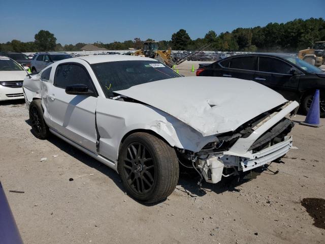 Photo 1 from auction – 2014 FORD MUSTANG with VIN 1ZVBP8AM5E5221850