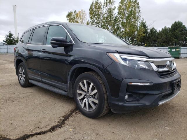 HONDA PILOT BLAC 2021 with VIN 5FNYF6H73MB506662 - Photo from auction