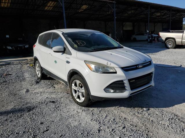 FORD ESCAPE SE 2016 with VIN 1FMCU9GX7GUC90731 - Photo from auction