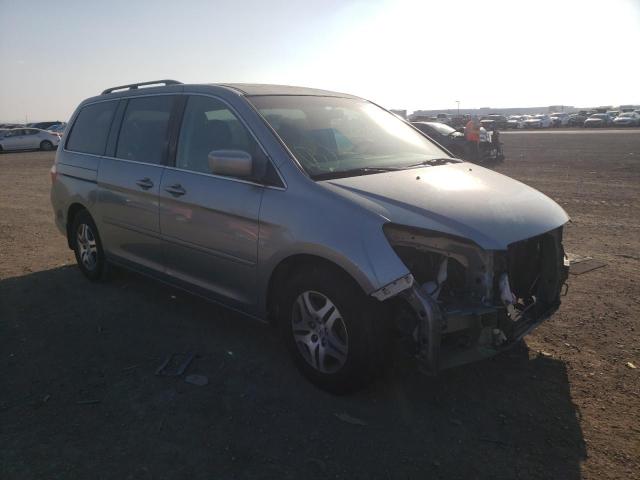 HONDA ODYSSEY EX 2007 with VIN 5FNRL38647B033832 - Photo from auction