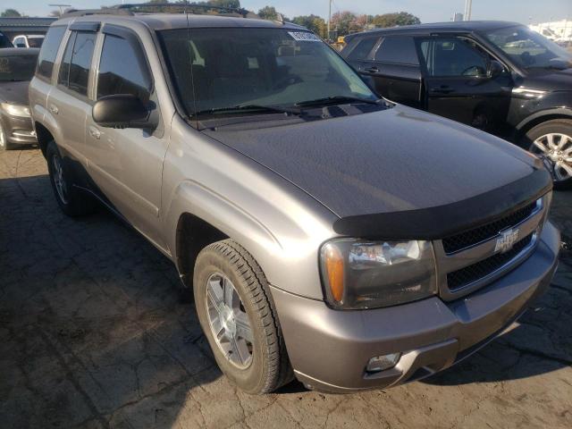 Photo 1 from auction – 2008 CHEVROLET TRAILBLAZE with VIN 1GNDS13S282198330