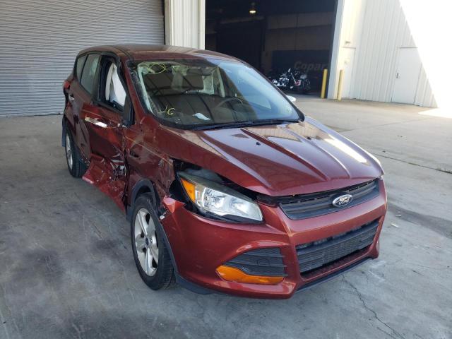 FORD ESCAPE S 2014 with VIN 1FMCU0F71EUE21159 - Photo from auction