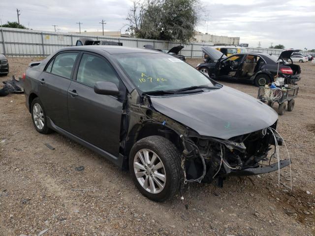 TOYOTA COROLLA BA 2010 with VIN 2T1BU4EE7AC490811 - Photo from auction