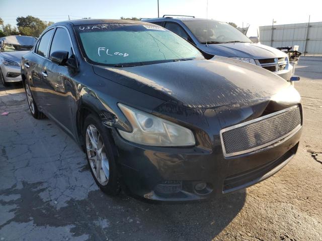 NISSAN MAXIMA S 2009 with VIN 1N4AA51E09C827555 - Photo from auction