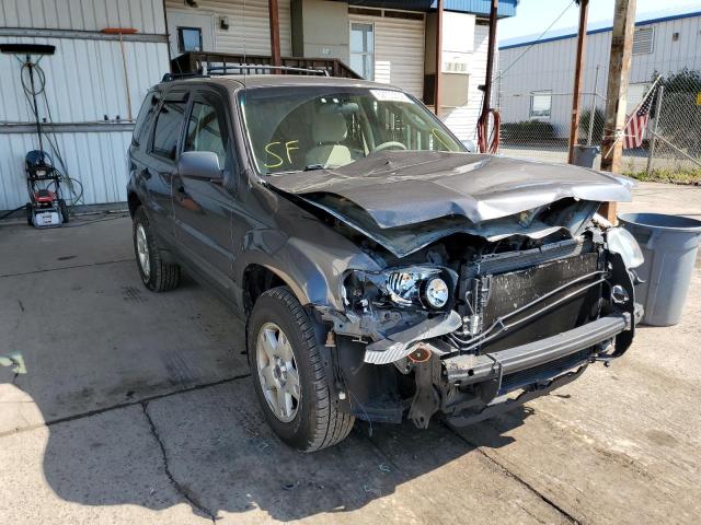 FORD ESCAPE XLT 2005 with VIN 1FMYU93125KD39057 - Photo from auction