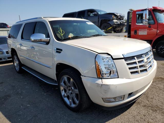 CADILLAC ESCALADE E 2010 with VIN 1GYUKHEF1AR183052 - Photo from auction