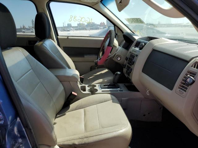 Photo 5 from auction – 2010 FORD ESCAPE XLT with VIN 1FMCU0DG0AKB63256