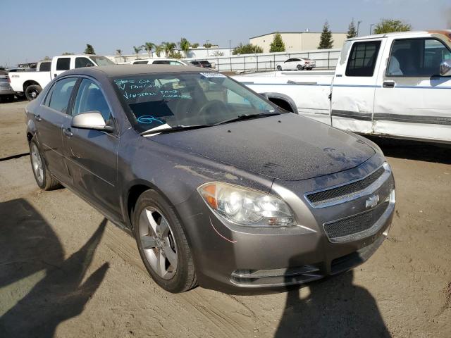 CHEVROLET MALIBU 1LT 2011 with VIN 1G1ZC5EU2BF337981 - Photo from auction