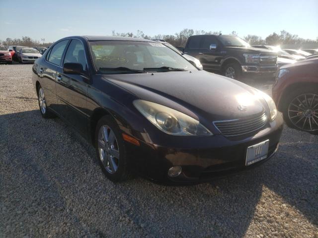 LEXUS ES 330 2005 with VIN JTHBA30G755059950 - Photo from auction