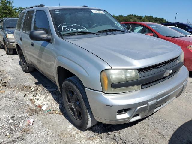 CHEVROLET TRAILBLAZE 2004 with VIN 1GNDS13S042446035 - Photo from auction