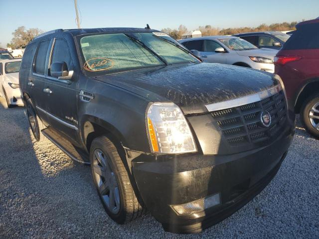 CADILLAC ESCALADE L 2008 with VIN 1GYEC63848R225203 - Photo from auction