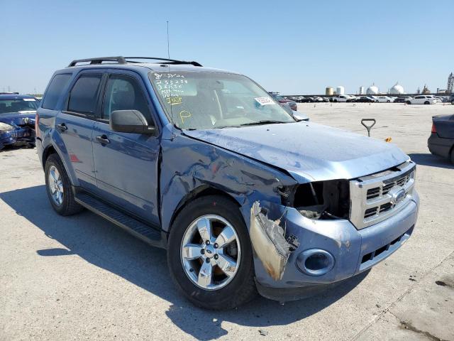 FORD ESCAPE XLT 2010 with VIN 1FMCU0DG0AKB63256 - Photo from auction