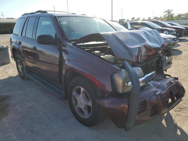 CHEVROLET TRAILBLAZE 2007 with VIN 1GNDS13S172175975 - Photo from auction