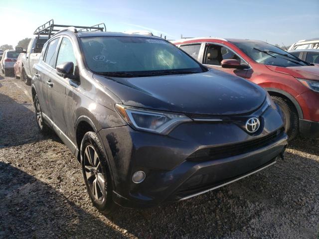 TOYOTA RAV4 XLE 2016 with VIN 2T3WFREV5GW261244 - Photo from auction