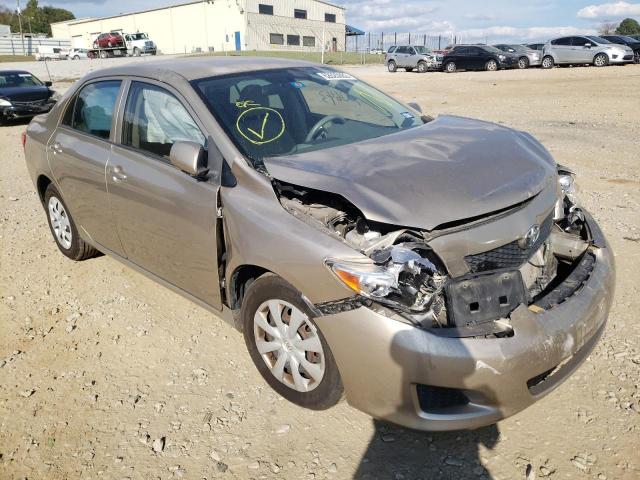 TOYOTA COROLLA 2010 with VIN 1NXBU4EE8AZ313599 - Photo from auction