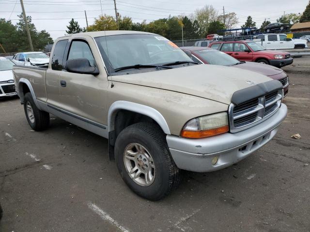 DODGE DAKOTA SLT 2002 with VIN 1B7GG42N32S595539 - Photo from auction