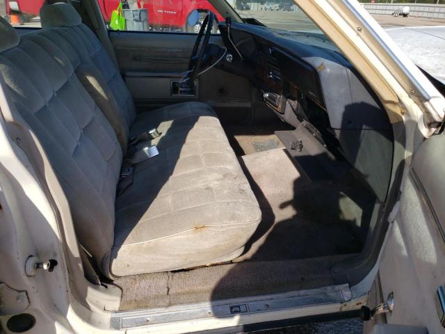 Photo 5 from auction – 1984 CHEVROLET CAPRICE CL with VIN 2G1AN6997E9190086