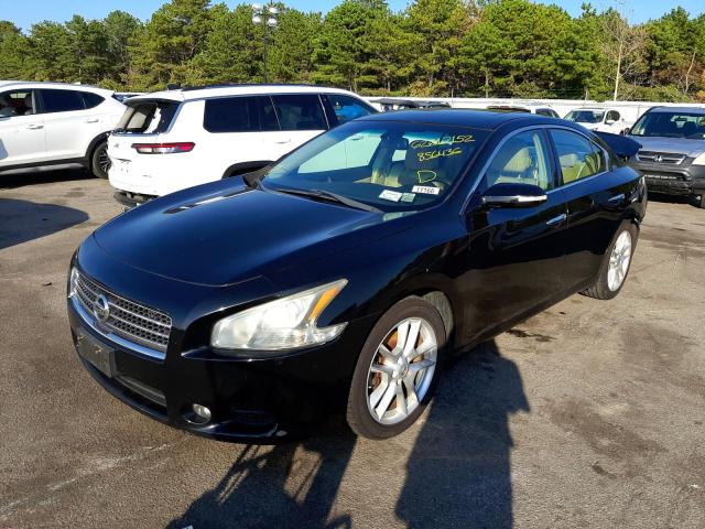 NISSAN MAXIMA S 2011 with VIN 1N4AA5AP6BC856436 - Photo from auction